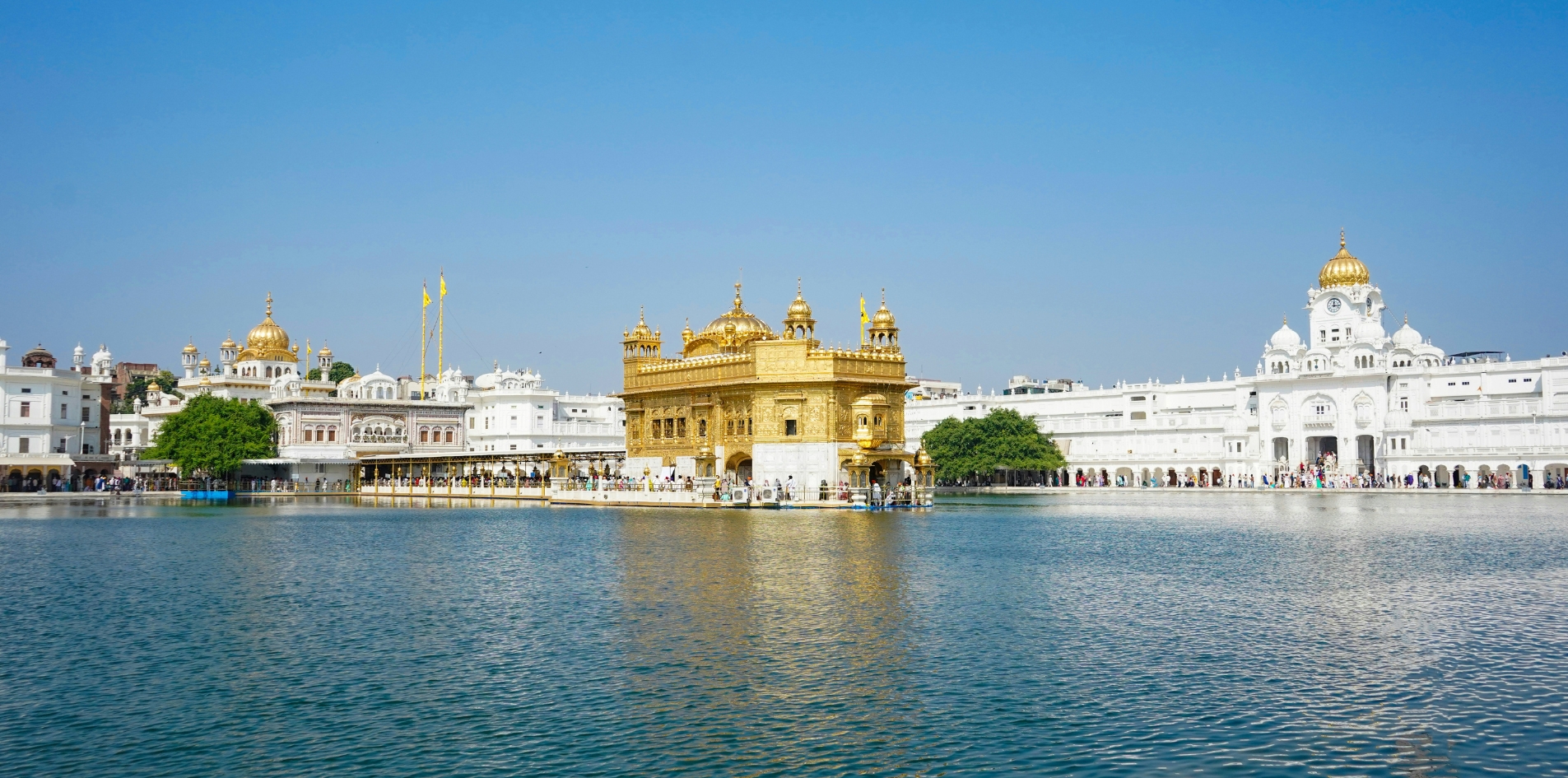 Golden Serenity