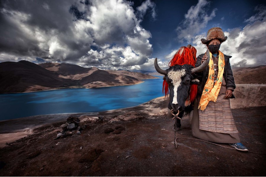 Le Tibet sur les pas de Tintin