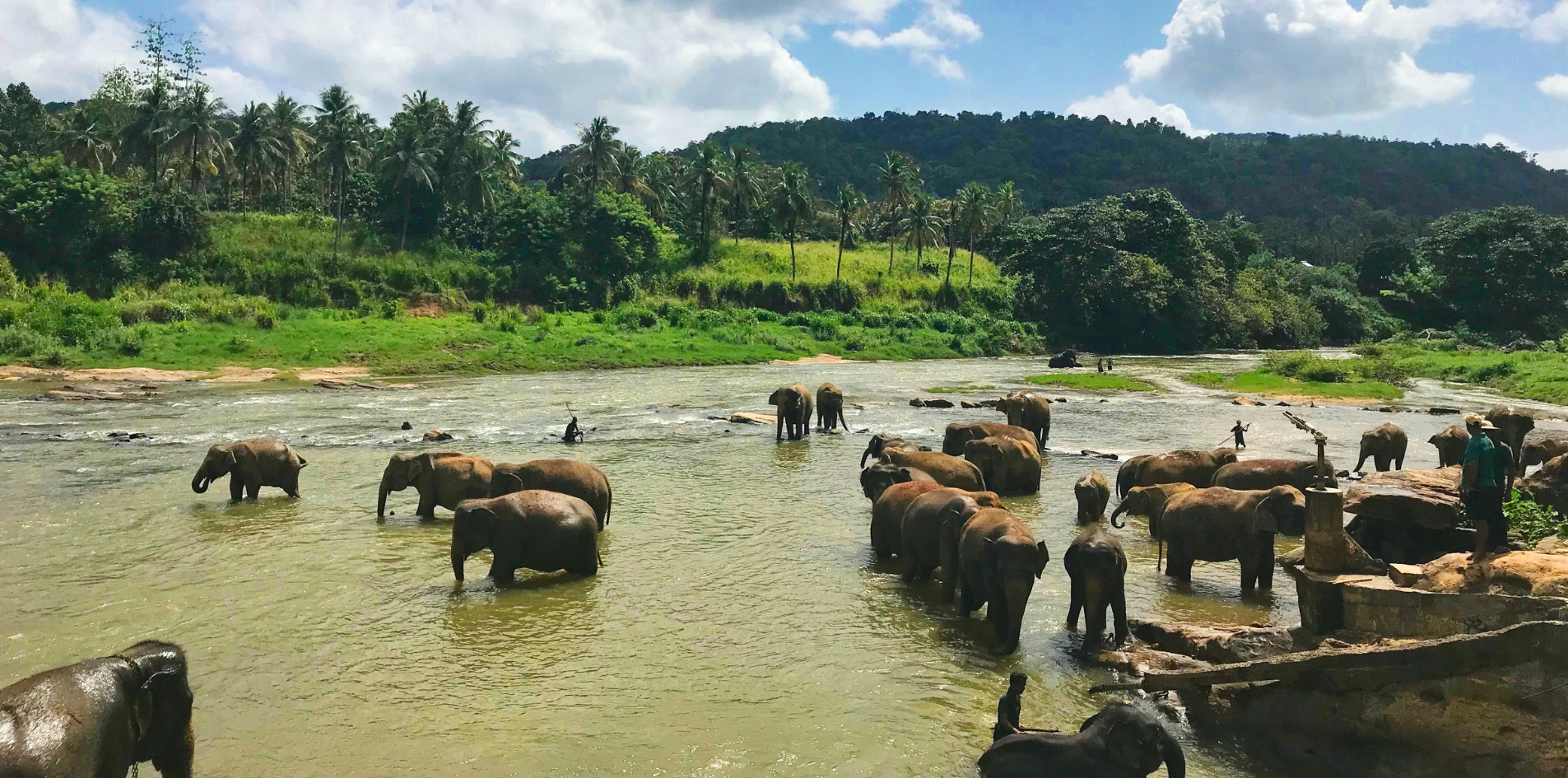 Day 4: Kandy – Pinnawela – Kandy