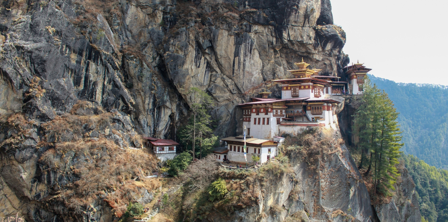 DAY 12: PARO