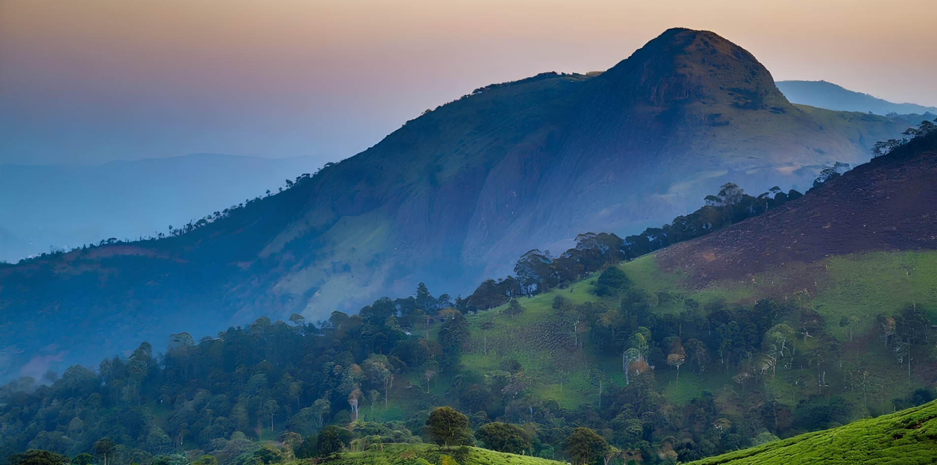 Day 7: MADURAI - MUNNAR