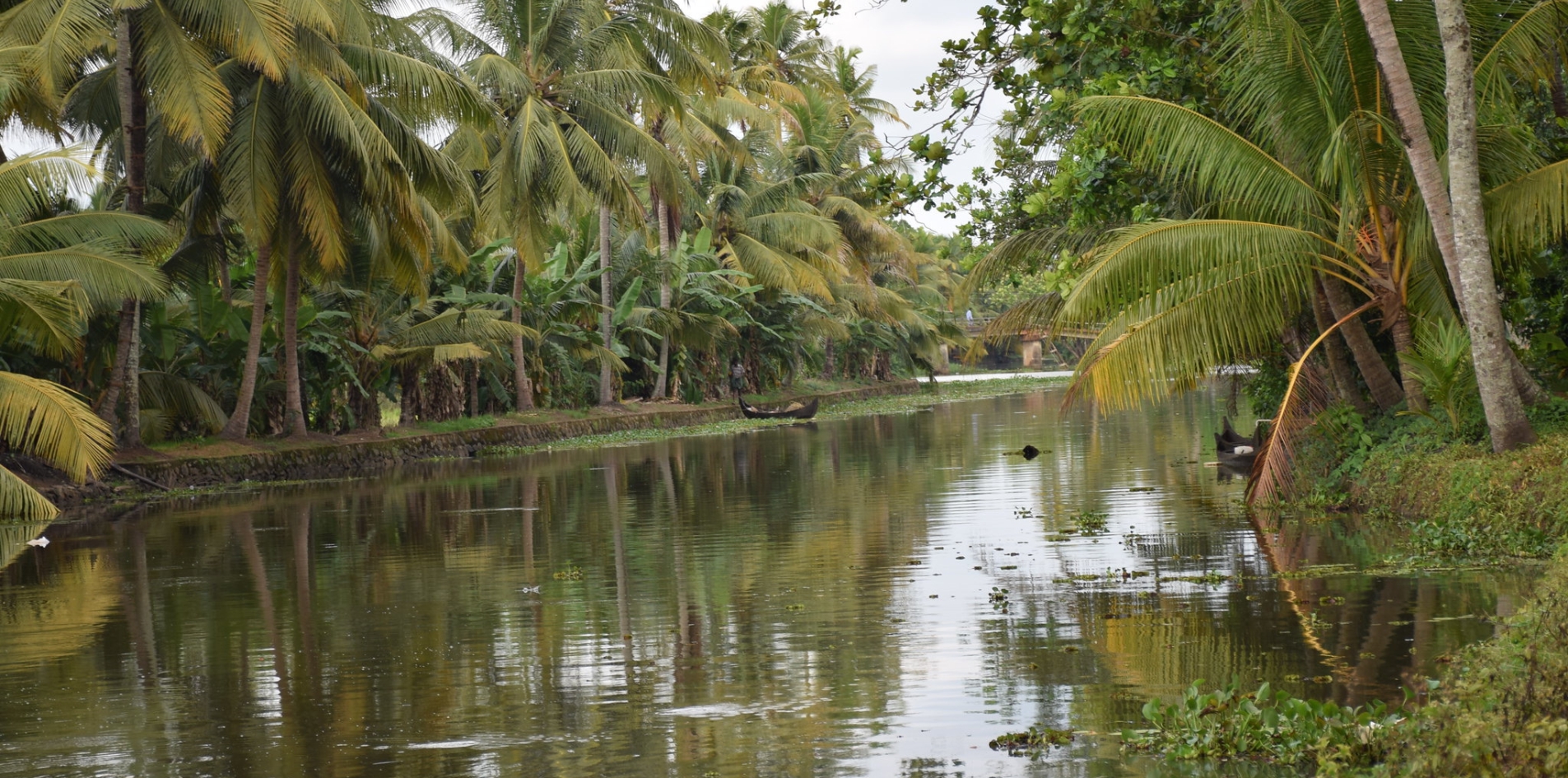 DAY 10 - PERIYAR - KUMARAKOM