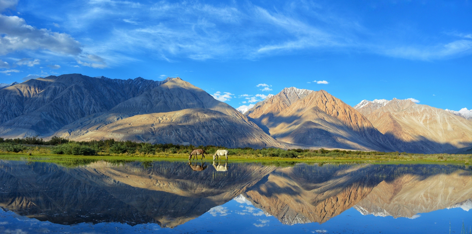 Ladakh – Roof of the World & Monastic Wonders