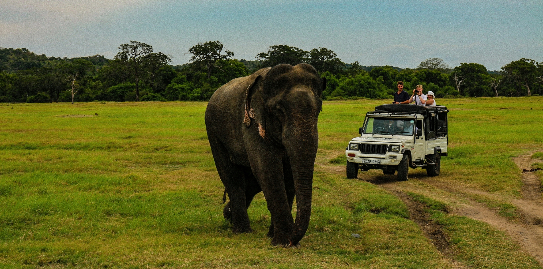 Sri Lanka Family Discovery & Wildlife Adventure
