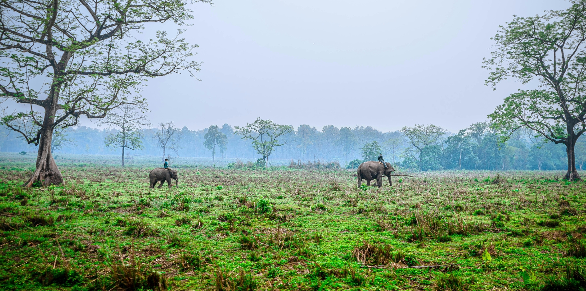 Day 7 – Pokhara / Chitwan