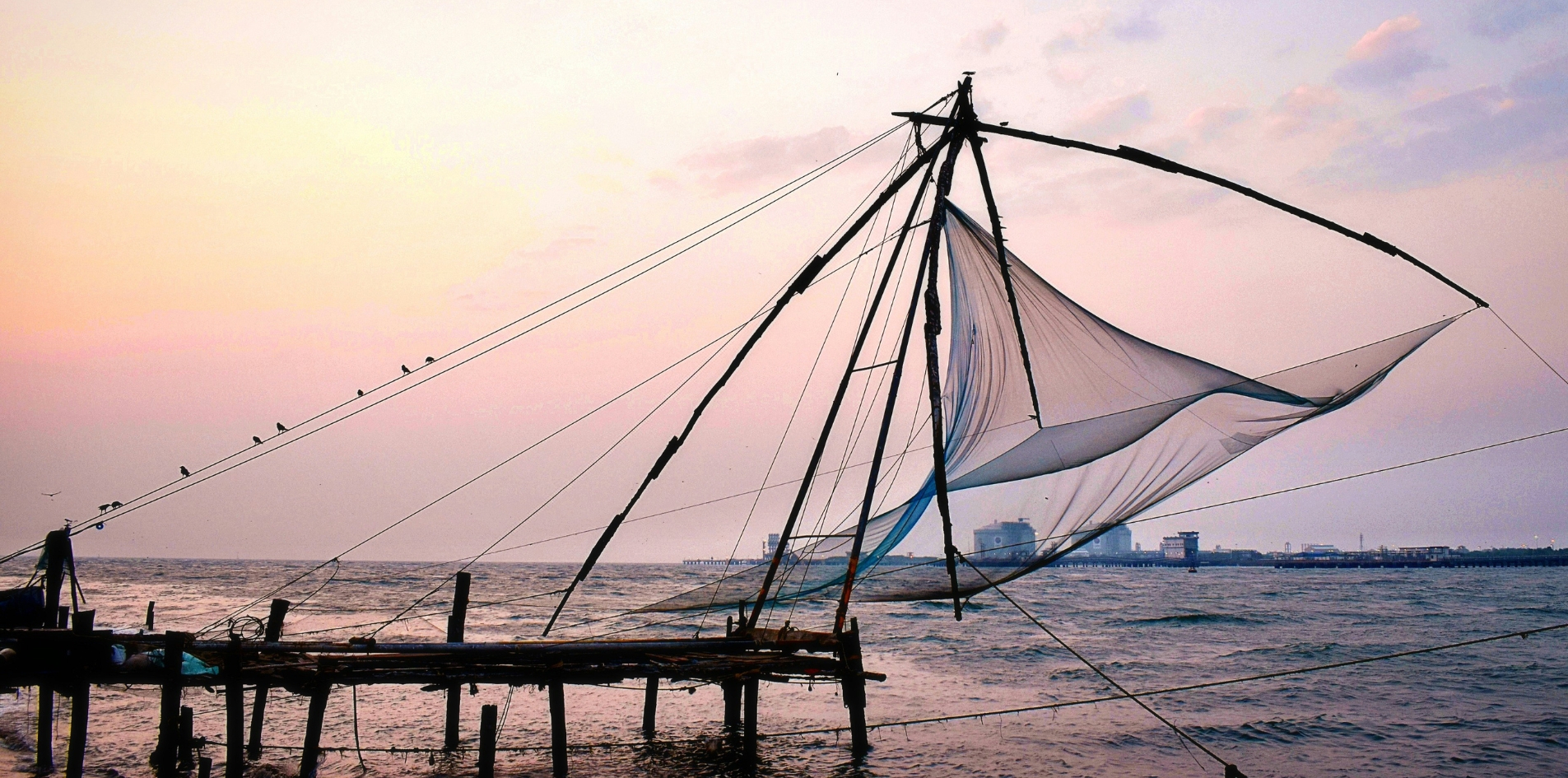 Day 8 : MUNNAR - COCHIN