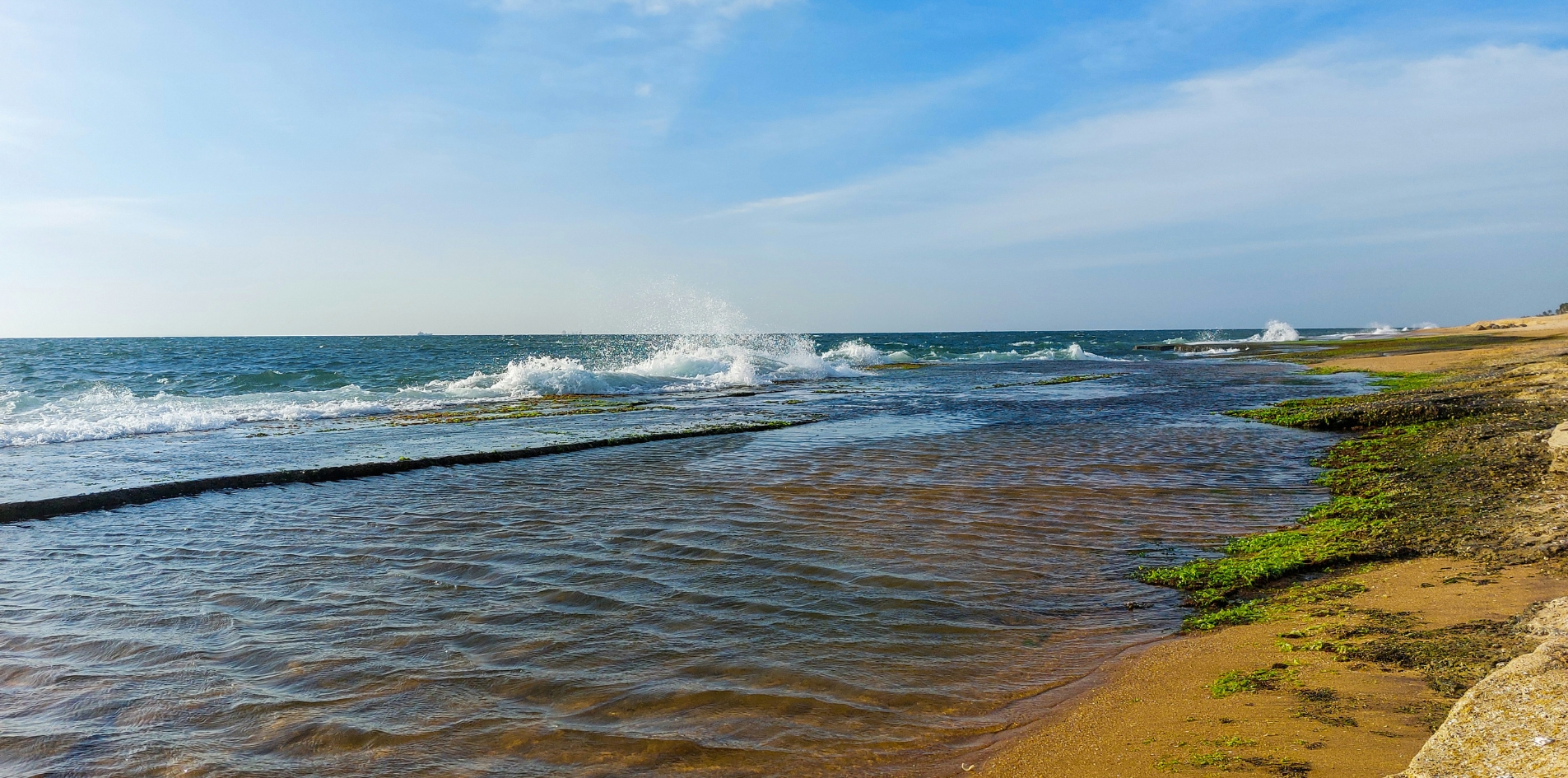 Day 2 — Negombo & Muthurajawella Wetlands