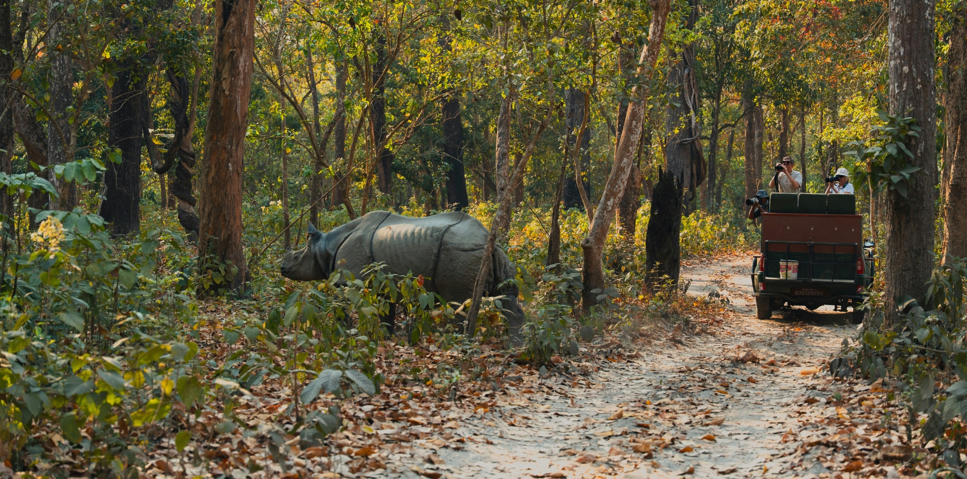 Day 8 – Chitwan