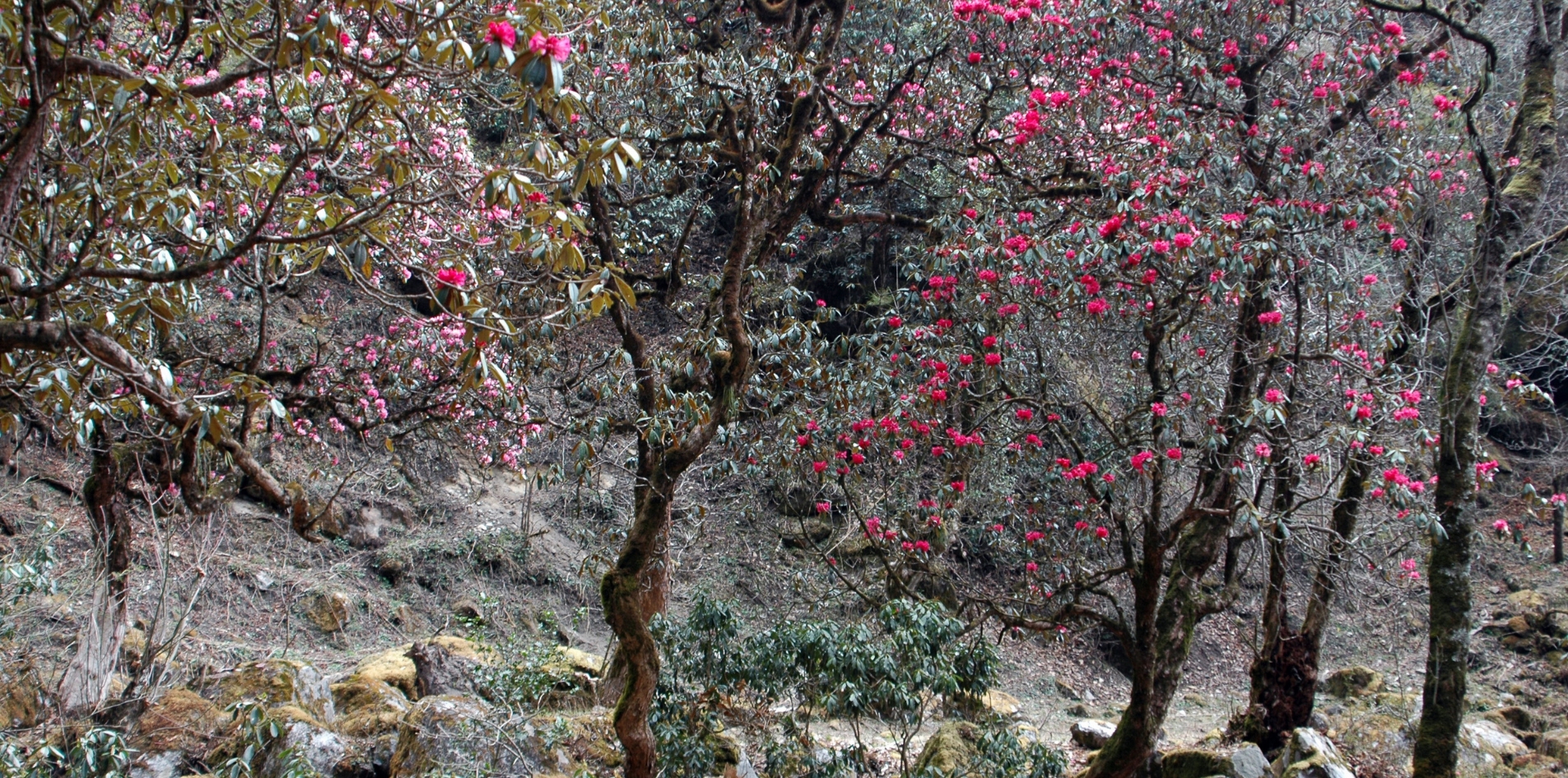 Day 09 – Jorsalee – Lukla (2800m)