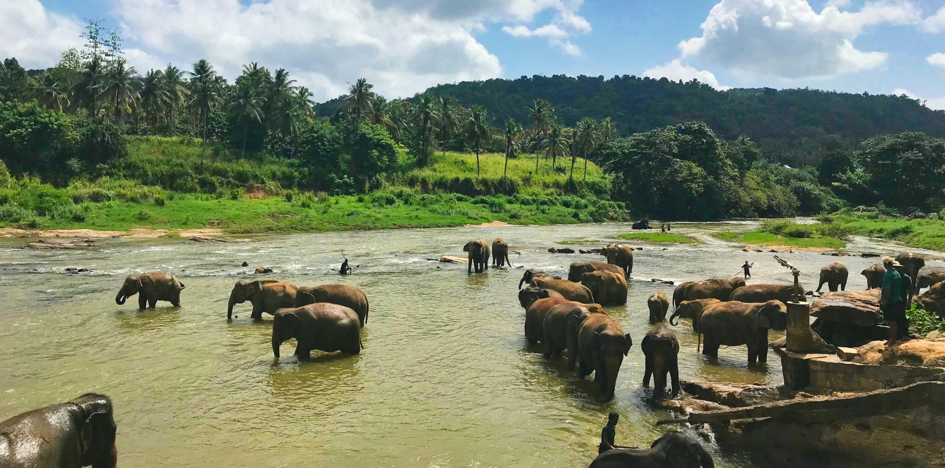 Day 4 – Kandy • Pinnawala • Kandy