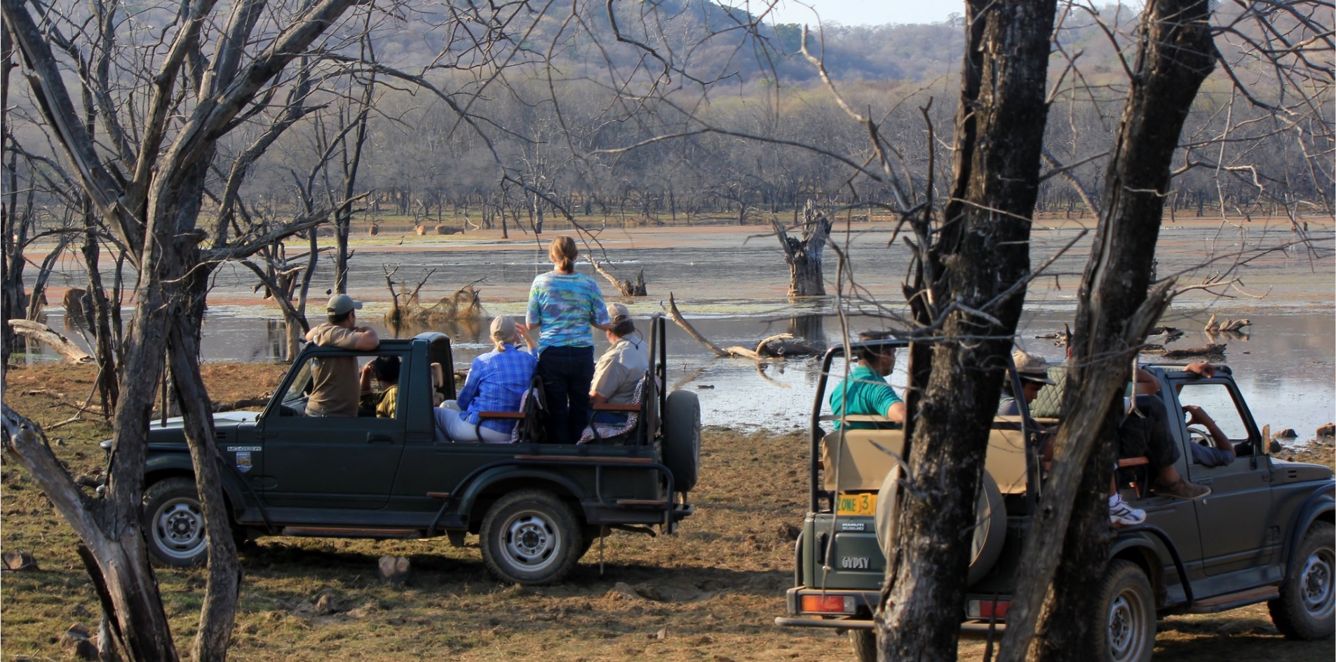 Day 10 – Ranthambhore Safari & Ancient Citadel